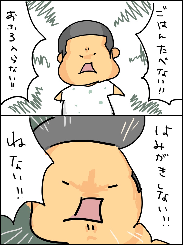 癇癪かイヤイヤ期なのか